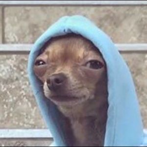 Meet your Posher, Adrian